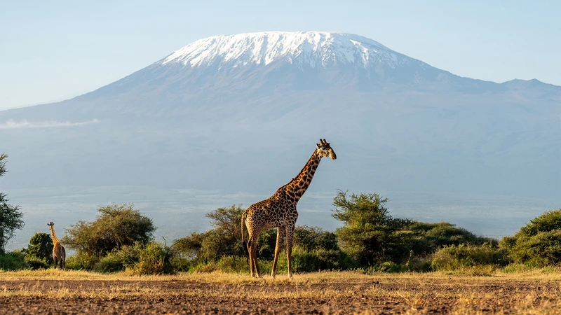 Kenya & Tanzania Great Migration Safari