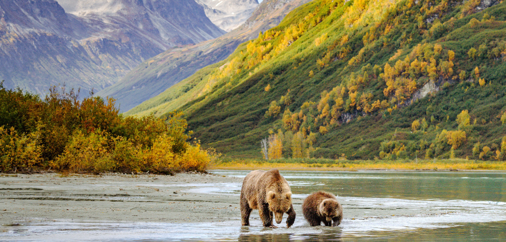 Luxury Alaskan Voyage